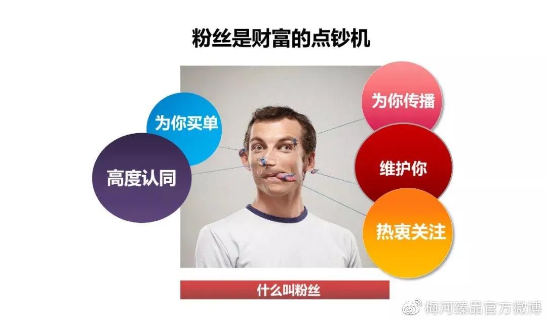 沙发课丨养粉丝、做IP就该这么玩！