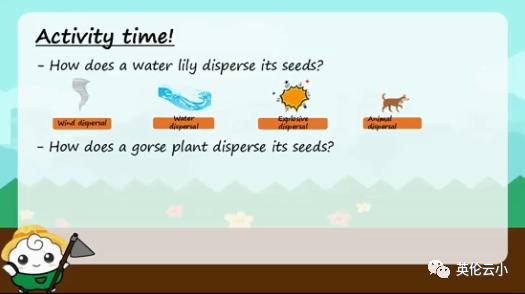 植物是怎么传播种子的二年级上册,植物传播种子方法有哪些举例说明