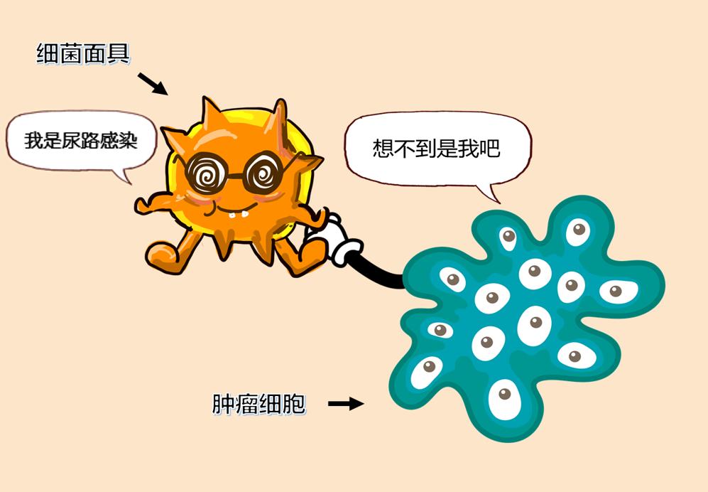 尿路感染一分钟就想上厕所怎么办,为什么尿路感染一到晚上就开始