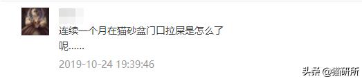 猫咪乱拉如何解决,猫咪乱拉处理方法