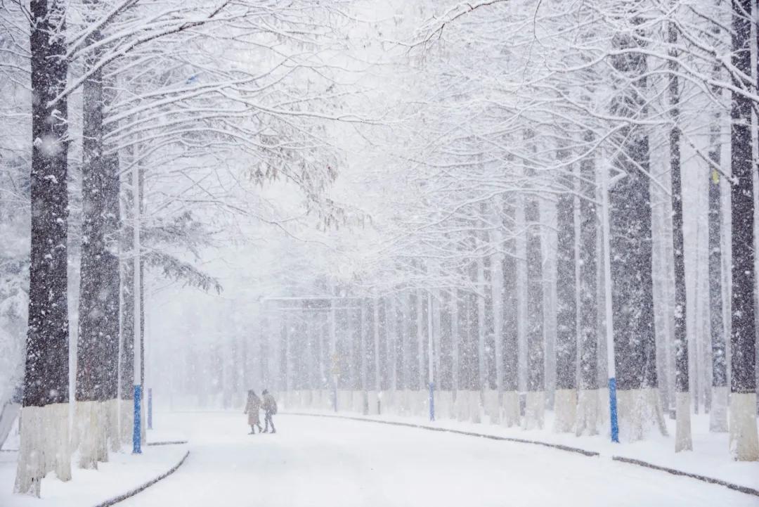 美过三亚！比厦门浪漫！中国这座海滨老城，去一次相当环游世界！