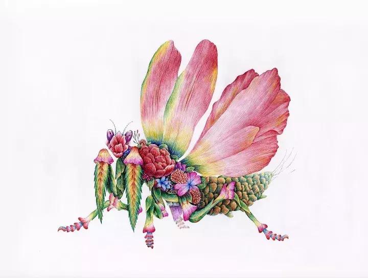 小央美钢笔画视频,极品五大钢笔画简直美爆