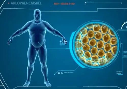 这八种网友疯传的最有效减肥方法,这3种减肥方法效果显著值得一试
