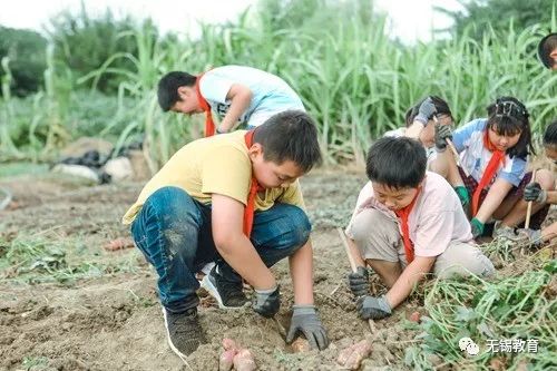 翻地、播种…无锡老小将课堂搬到了田间地头