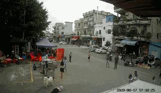 八旬老人被狗绳绊倒身亡如何避免,老人被狗绳绊倒是什么狗