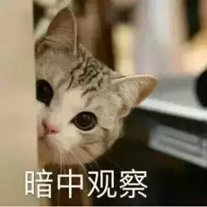 亲子沟通的六大技巧,给孩子们一点色彩