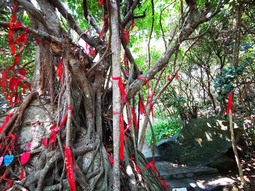 中国最大马尔代夫蜈支洲岛,中国马尔代夫蜈支洲岛视频