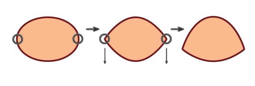 adobeillustrator怎么做毛绒小鸟,adobeillustrator画动物