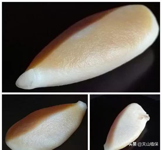 跨越千万年，历经风沙的美丽——*疆新**沙漠漆