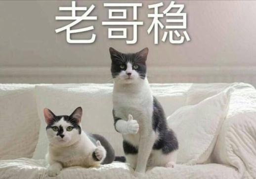 皓王仙鹤电动牙刷测评,皓王电动牙刷质保