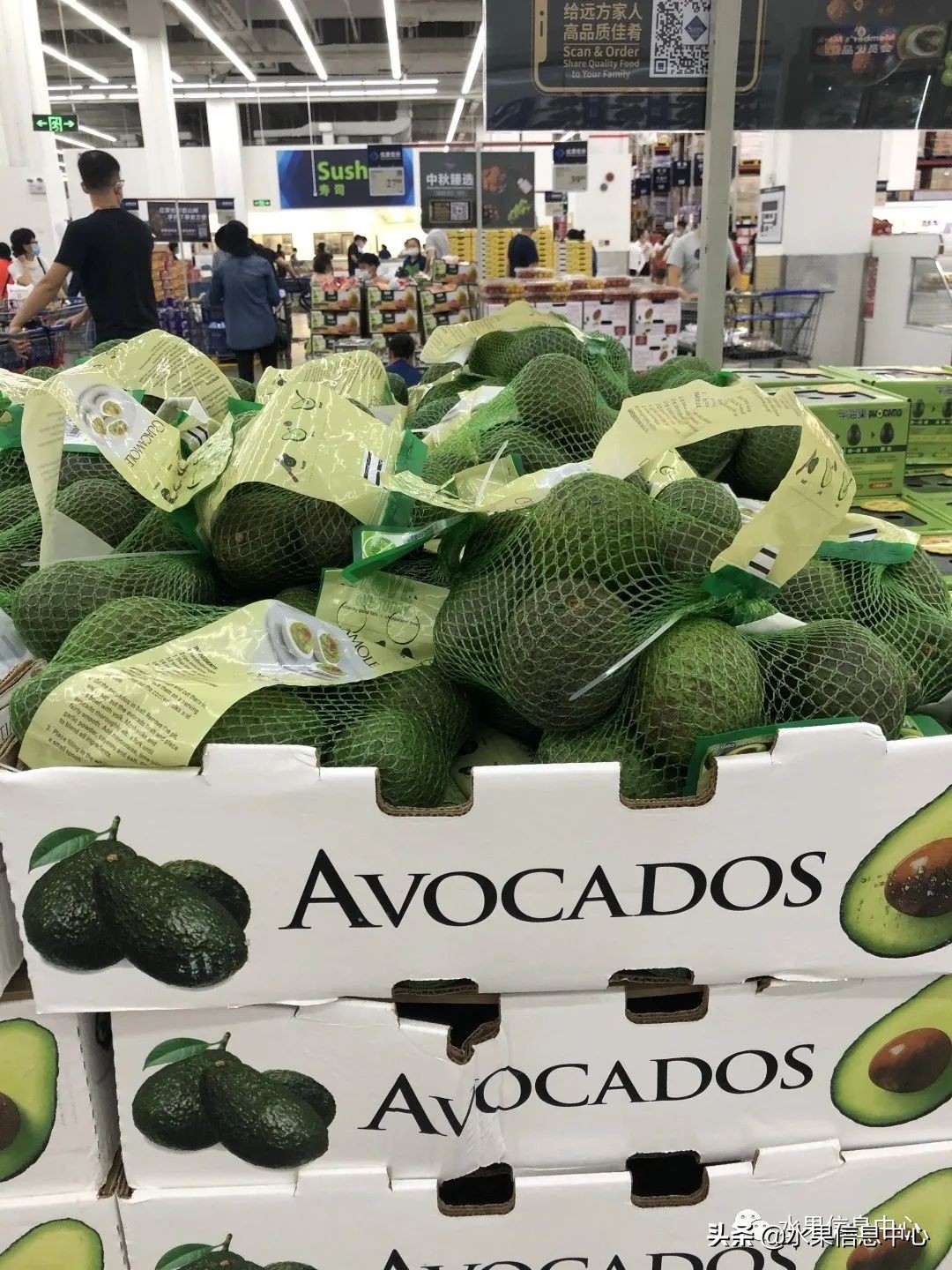 中秋节前，走访两家水果零售店，水果标准化在这里体现的淋漓尽致