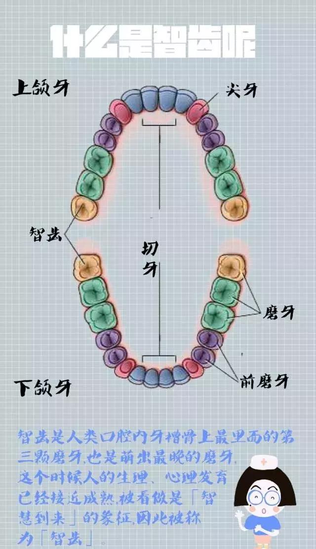 智齿神经痛怎么办,有智齿需要吃什么缓解