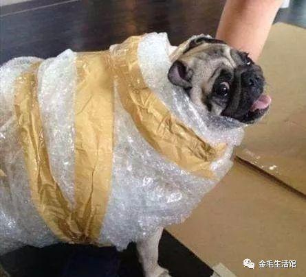 nova4上面的三个小孔是什么,nova4的顶部3个孔什么功能