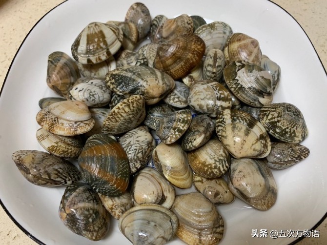 青岛红岛小蛤蜊,蛤蜊疙瘩汤青岛