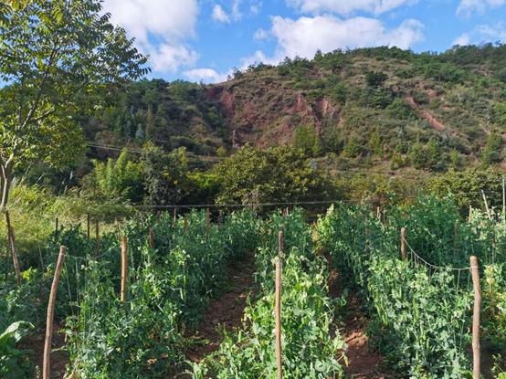 鬼哥的五万里D86丽江和大理哪个是你的菜（祥云县-南华县）