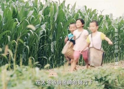 一些乡村教师的事例,乡村教师的故事