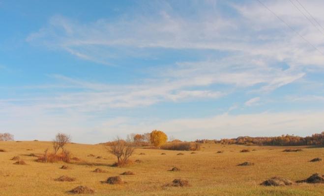 坝上乌兰布统的秋天完整版,乌兰布统坝上草原