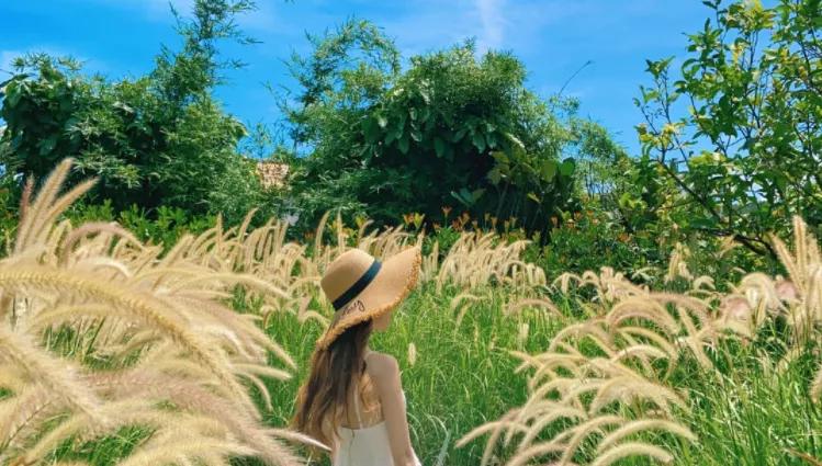 深圳海边网红打卡民宿,海边民宿网红打卡地