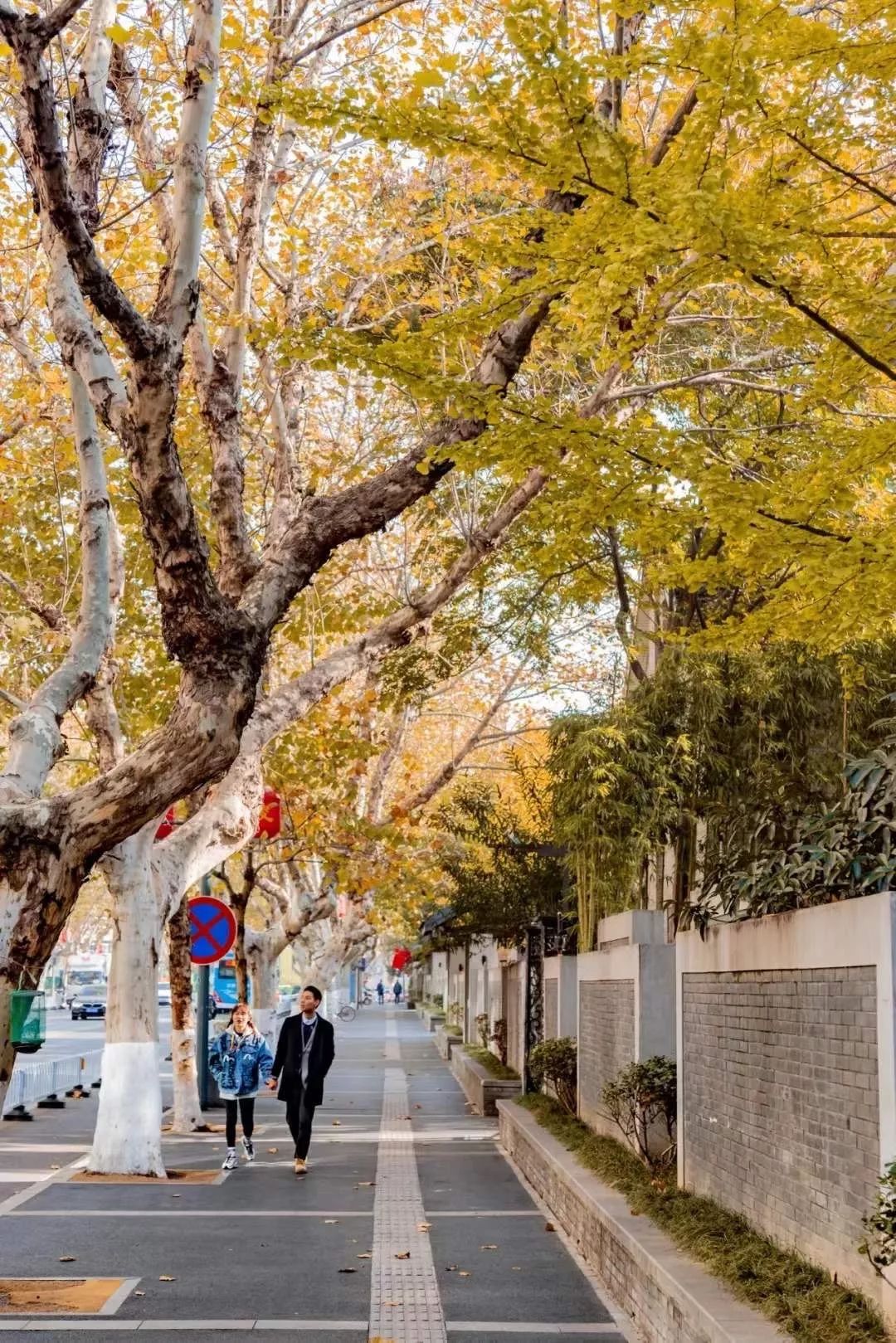 生活在南京的真实感受,南京适合生活嘛