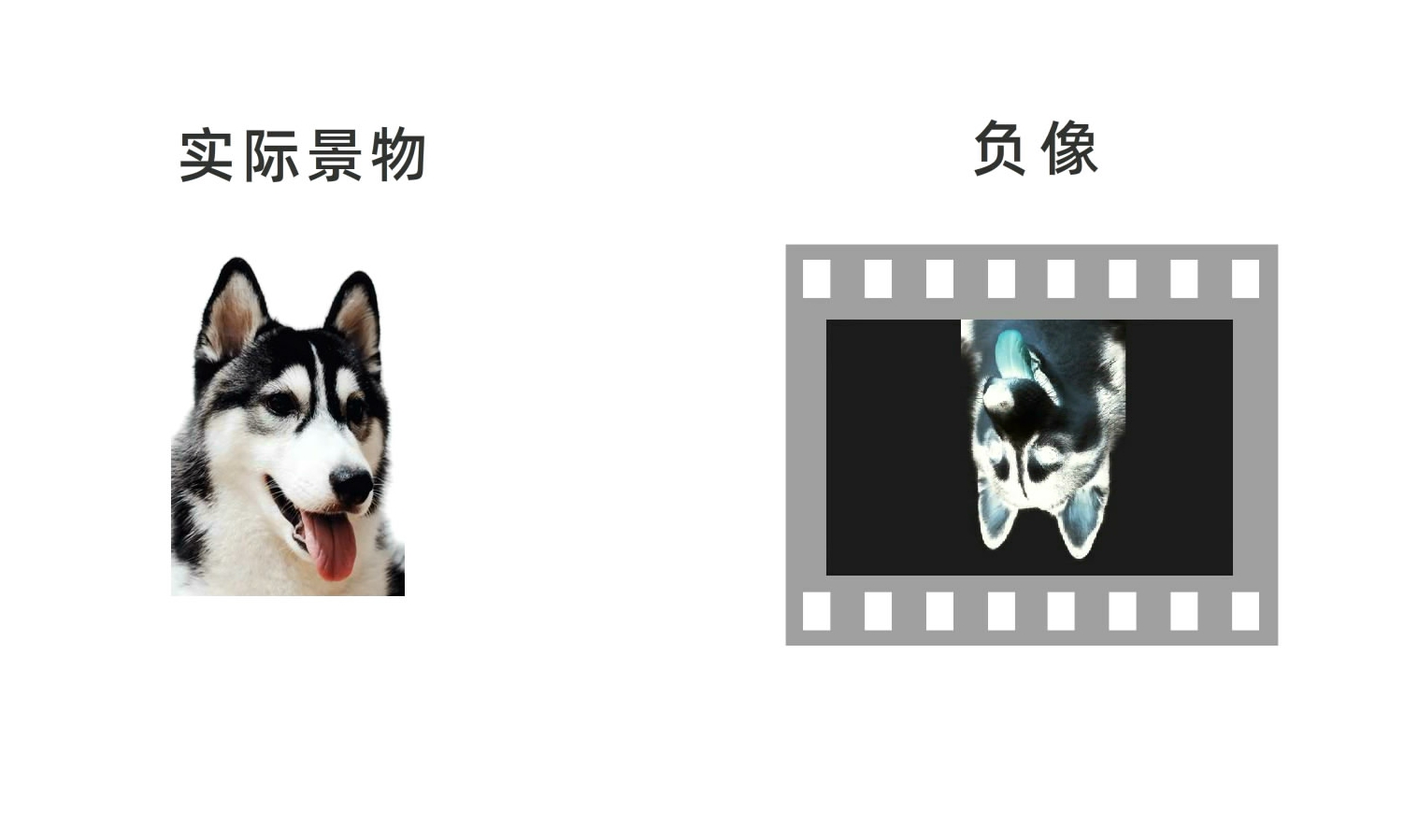 冲洗底片原理动画图,传统底片的冲洗的流程