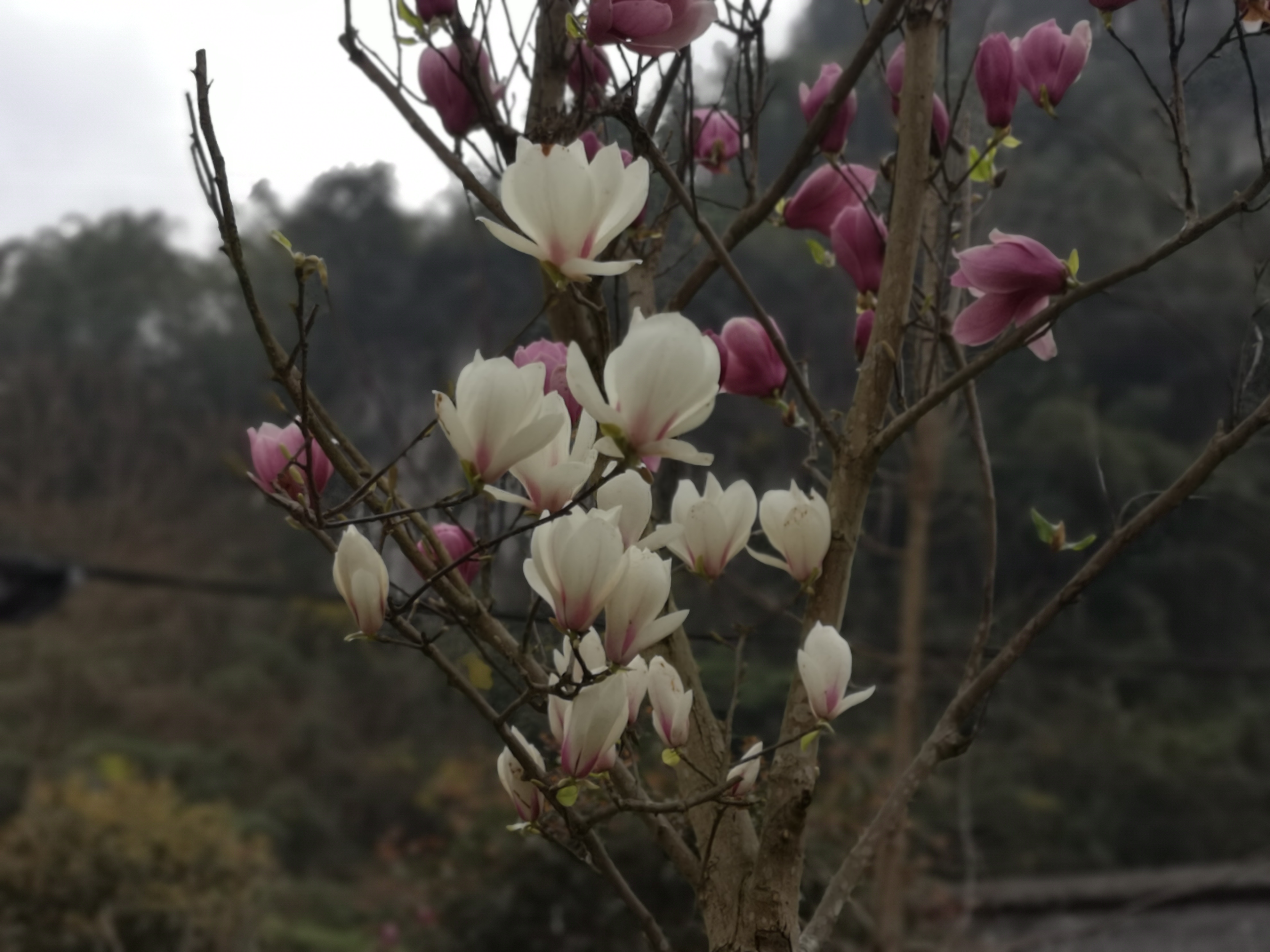 犯错是要付出代价,犯错会付出可怕的代价