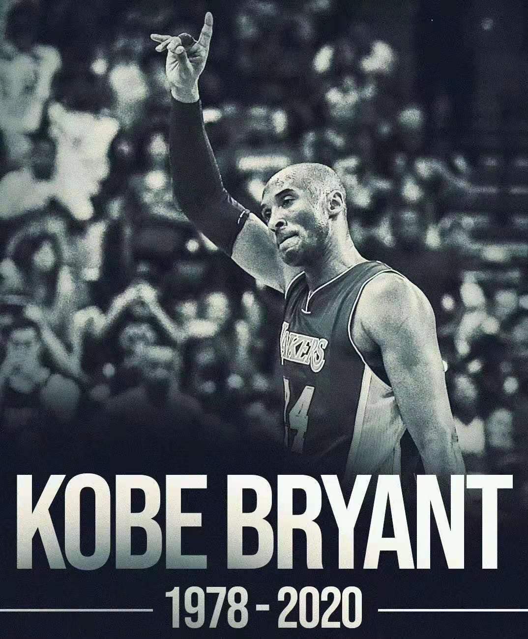 黑曼巴传奇回顾,历史上真实的曼巴