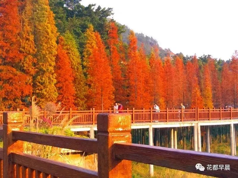 遇见芙蓉是啥意思,遇见芙蓉川菜