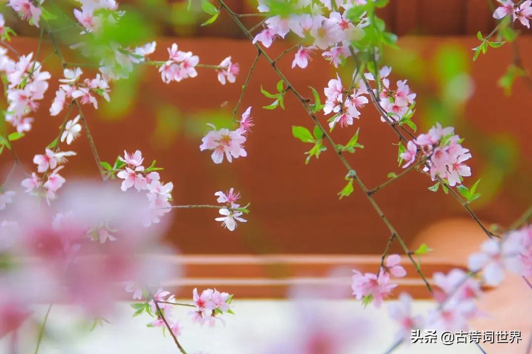 形容诗写得很唯美的四字成语,100个四字成语优美的古诗词