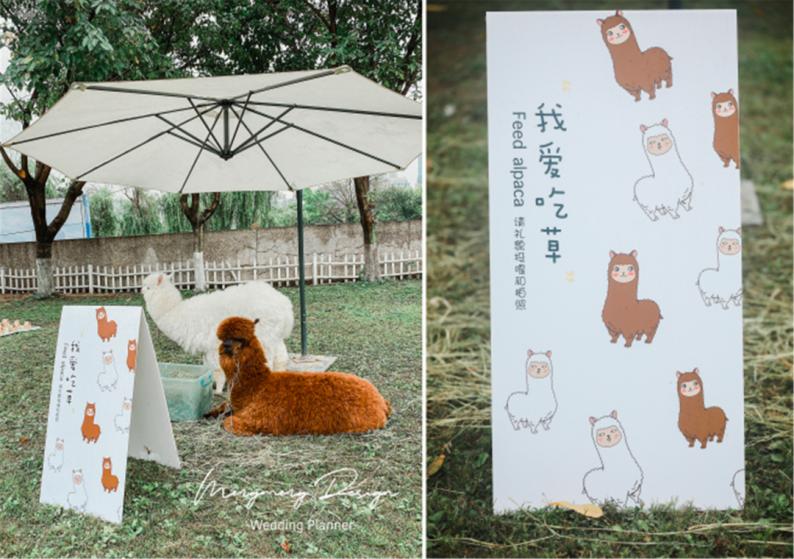 有趣的婚礼创意,解救无聊婚礼各环节创意大全