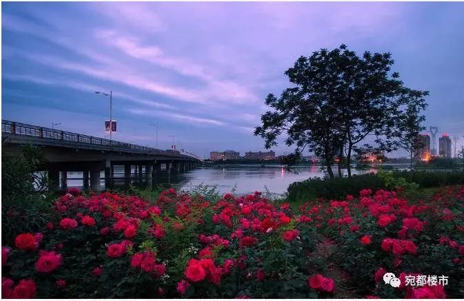 南阳地图像什么样子,一张图看懂河南南阳地图