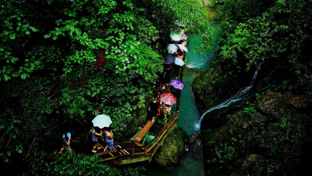 重庆避暑黑山谷,重庆万盛黑山谷生态旅游区