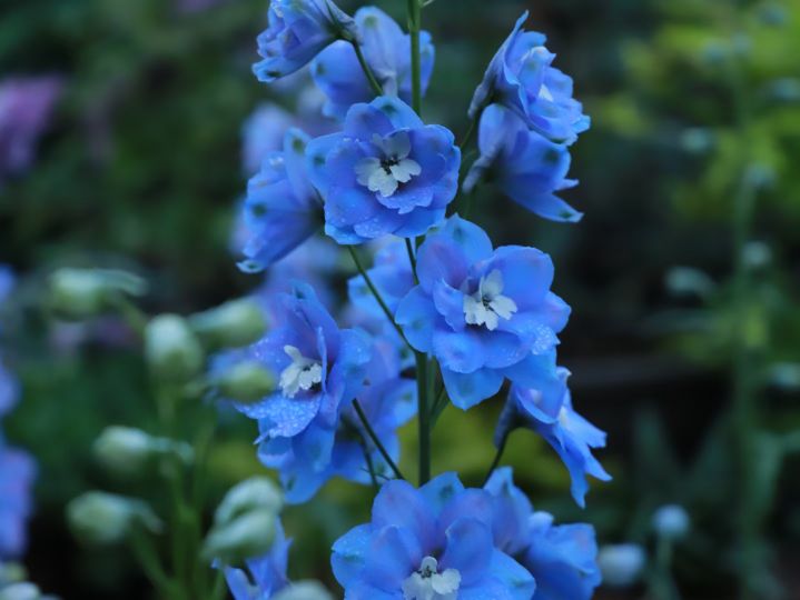 中考作文预测身边的温暖,心中的暖流作文