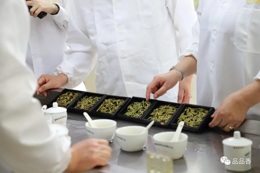 冰糖甜香老白茶,冰糖白茶兰花香