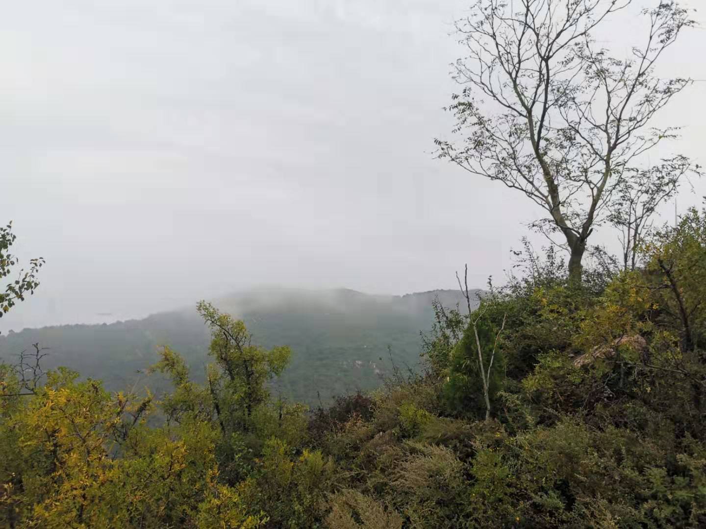 运城关帝庙旅游攻略,运城关帝庙攻略一日游路线