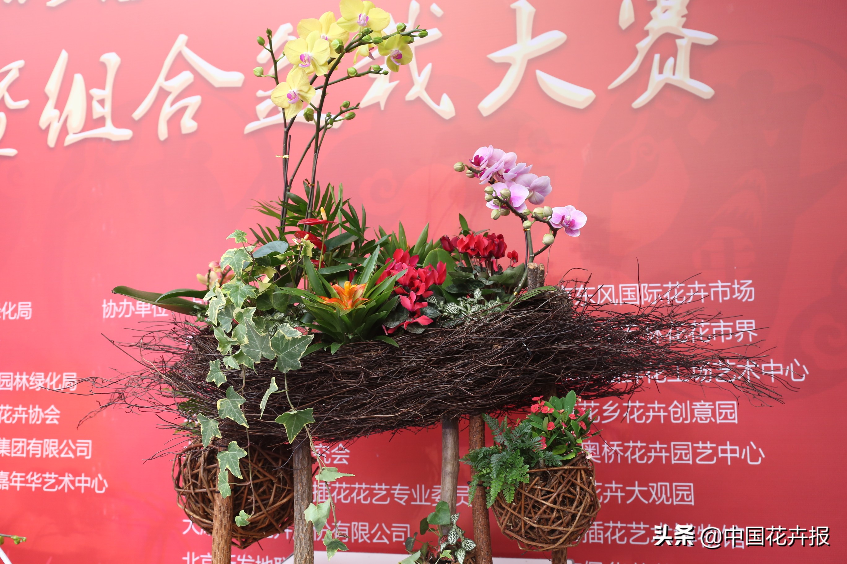 北京迎春花展,北京春季花展时间表