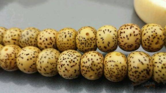 星月菩提放在通风的地方能氧化吗,星月菩提要先氧化吗