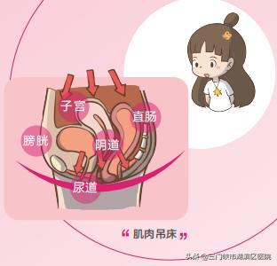 女性盆底功能障碍性疾病,盆底功能障碍中医分析