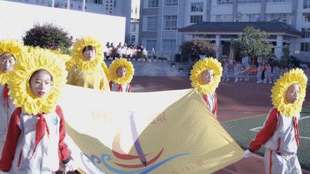 白大褂舞蹈教程,白大褂向日葵