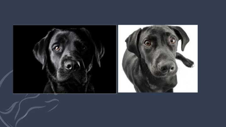 眼睛无神呆滞怎么训练,如何训练眼睛更有神仿佛眼里有光