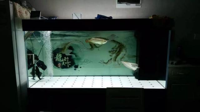 上岸原因令人震惊,上岸的缘由