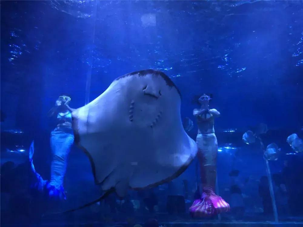 温泉季已到,这个元旦就来一场惬意的海南泡汤+逛吃之旅吧!