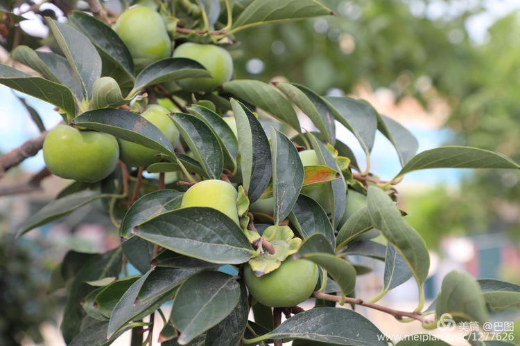 洛阳偃师徒步旅行，7个多小时3万多步，轘辕关下探访火星宫