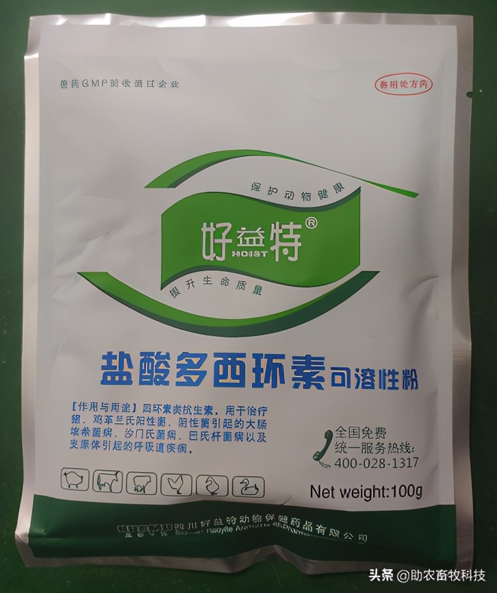 猪的附红细胞体病病原体,猪附红细胞体高怎么预防