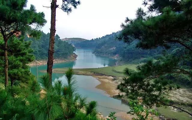 你了解东莞吗,廉江有什么