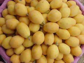 吃什么水果化痰止咳效果最好 (橙子和什么水果榨汁好喝又止咳)