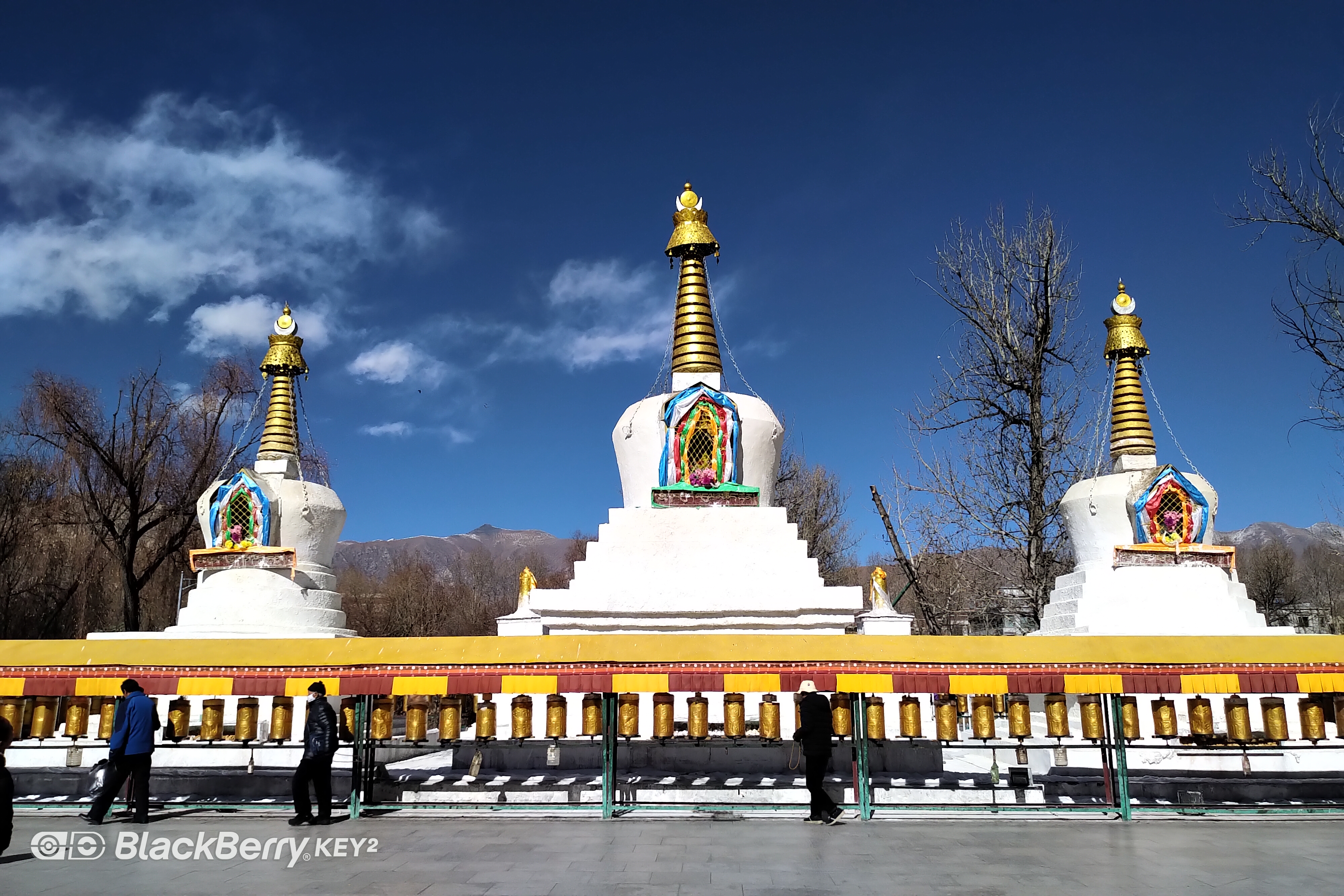 想来*藏西**又怕高反？进来看看吧