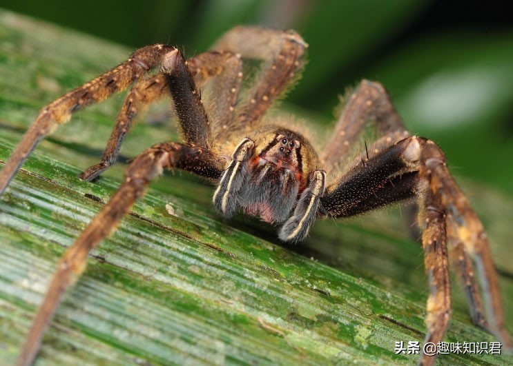 关于女性的趣味冷知识,受不了的趣味冷知识大全
