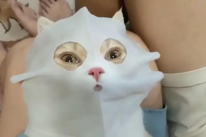 据说最近喵圈流行敷面膜，铲屎官请准备