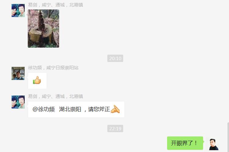 多图：竹笋的顽强生命力，远超您的想象