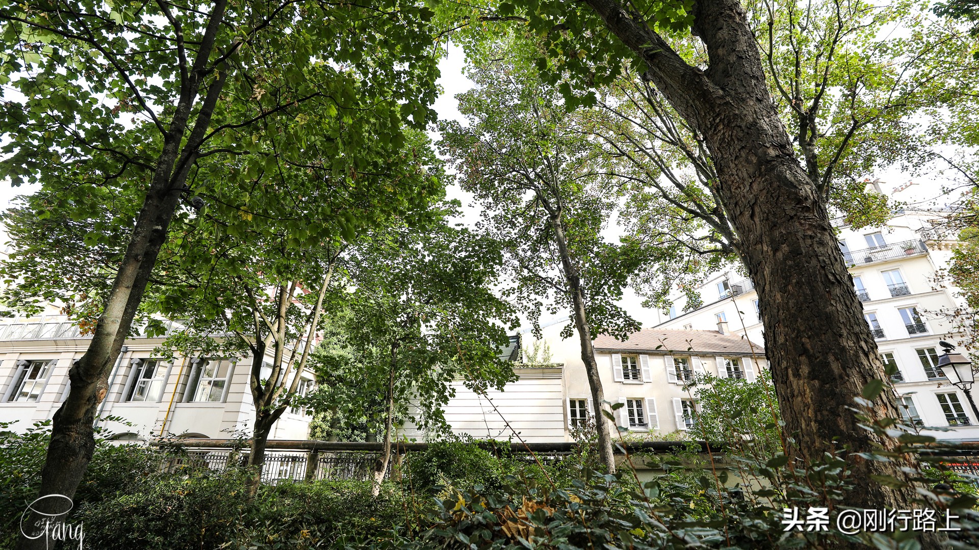 用全世界的语言说爱你的巴黎爱墙,你可曾向最爱的她表白过